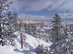 Winter storm at Bryce Canyon