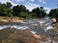 American River at William B. Pond Recreation Area 