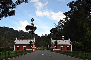 Botanical garden ooty