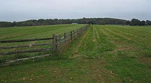 Brandywine SW from Wylie Road