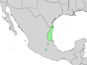 Citharexylum berlandieri range map 3.png