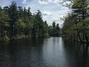 Cocheco River Hanson Pines.jpg