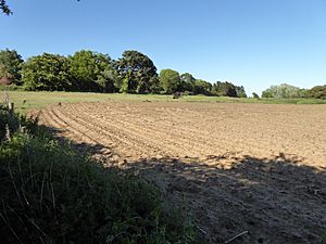 Crag Pit, Aldeburgh 1.jpg