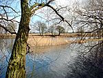 Deeping Lakes NR near Peterborough - geograph.org.uk - 162224.jpg