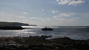 Ferrydoolin