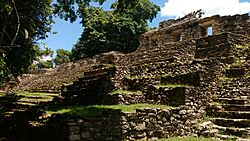 Foto en la Zona Arqueológica de Yaxchilan 01.jpg