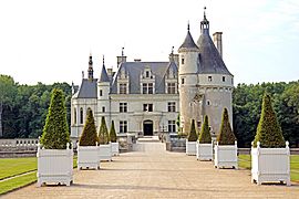 France-001529 - Château de Chenonceau (15454479036)