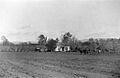 Fruit farm and vineyard, Walla Walla, Washington, 1890s