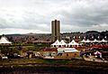 Gateshead Garden Festival view from staithes 1