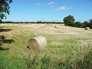 Hay Bales in Carlow