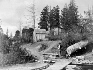 Indian Village at Coal Harbour