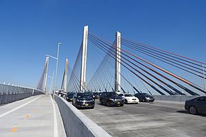 Koscuiuszko walkway & cables jeh