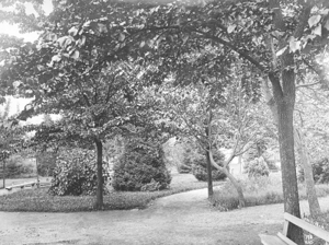 Leschi-park-1908