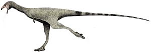 Limusaurus runner