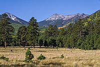 Lockett Meadow (29830270612)