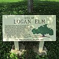 LoganElm20