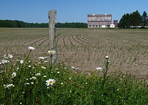 One-time dairy farm in a flat part of Maplehurst