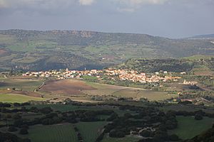 Panorama