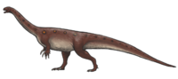 Massospondylus reconstruction.png