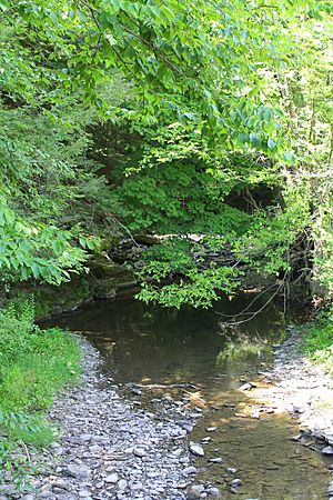 Oxbow Creek looking upstream