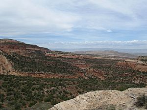 Pollock Canyon