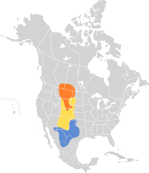 Rhynchophanes mccownii map.svg