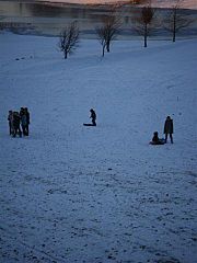 Snow, november 2010 025