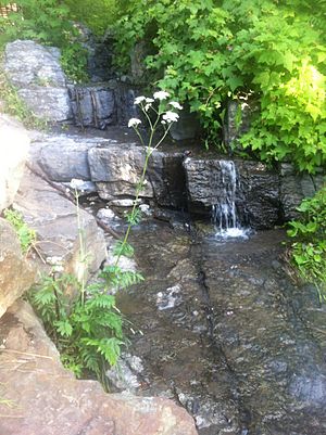 Spring water in the mountains