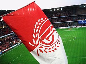 Standard liege flag