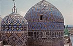 Two cupolas covered in blue, yellow and brown tiles.