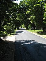 Upper Paudash Road, Joe Bay