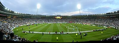 Westpac Stadium 14112009