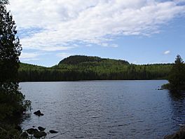 Whale Lake.jpg