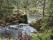 Whatcom Creek, minor waterfall