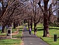 Yarra River paths