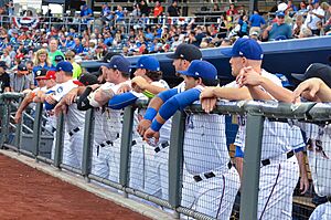 2015 AAA All-Star Game dugout