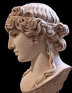 Antinous Mandragone profil