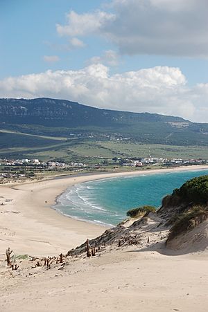 Beach of Bolonia - 014 - view