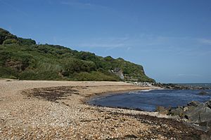 Bonchurch Monks Bay 4