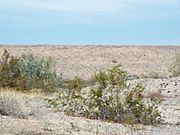 Cave Creek-Cave Butte Dam-1979-1