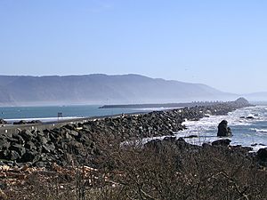 Crescent City Harbor