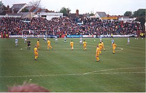 Elm Park Stadium 1