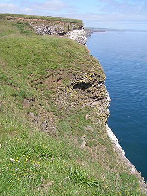 Fowlsheughcliff