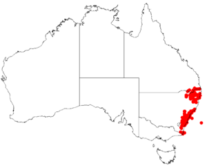 Hakea laevipesDistMap66.png