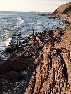 Hallett Cove Conservation Park P1000920