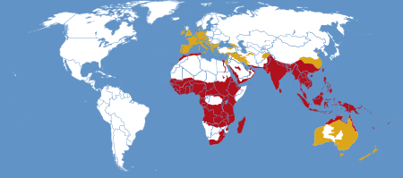 Hippotion celerio distribution map