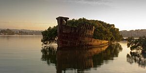 Homebush Bay - SS Ayrfield