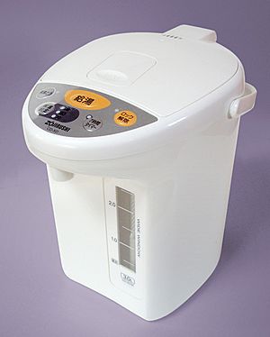 Japanese Electric Water Boiler 20101026