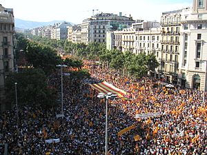 Manifestació10J-293