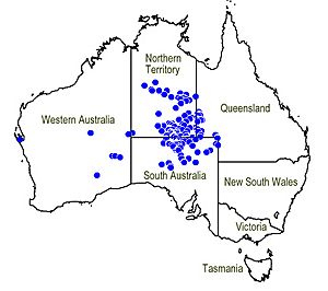 Map.Dicratylis costelloi.jpg